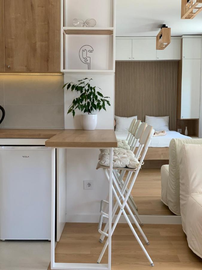 Selena Apartment Belgrade Exterior photo