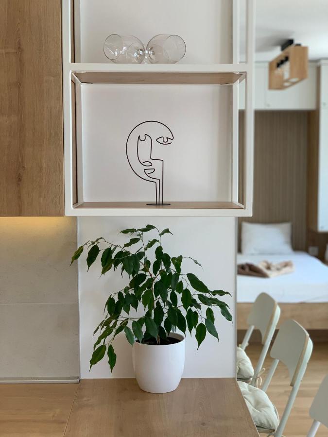 Selena Apartment Belgrade Exterior photo